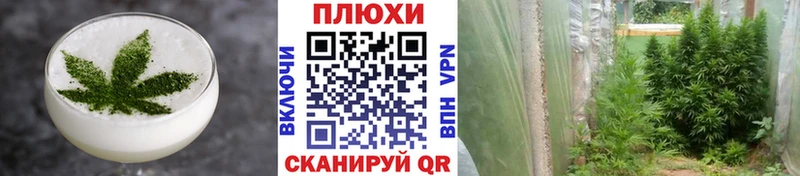 Cannafood конопля  OMG онион  Чаплыгин 
