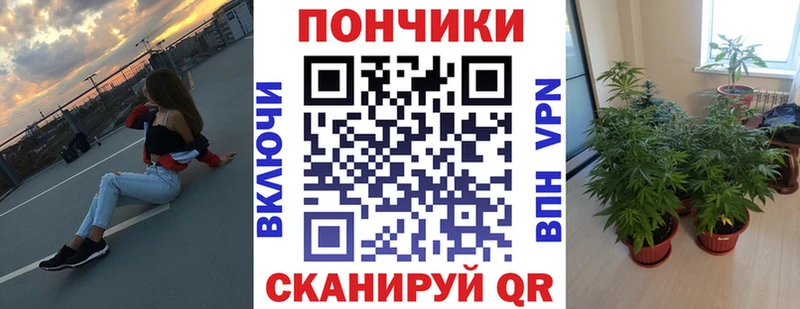 Шишки марихуана марихуана  сколько стоит  Чаплыгин 